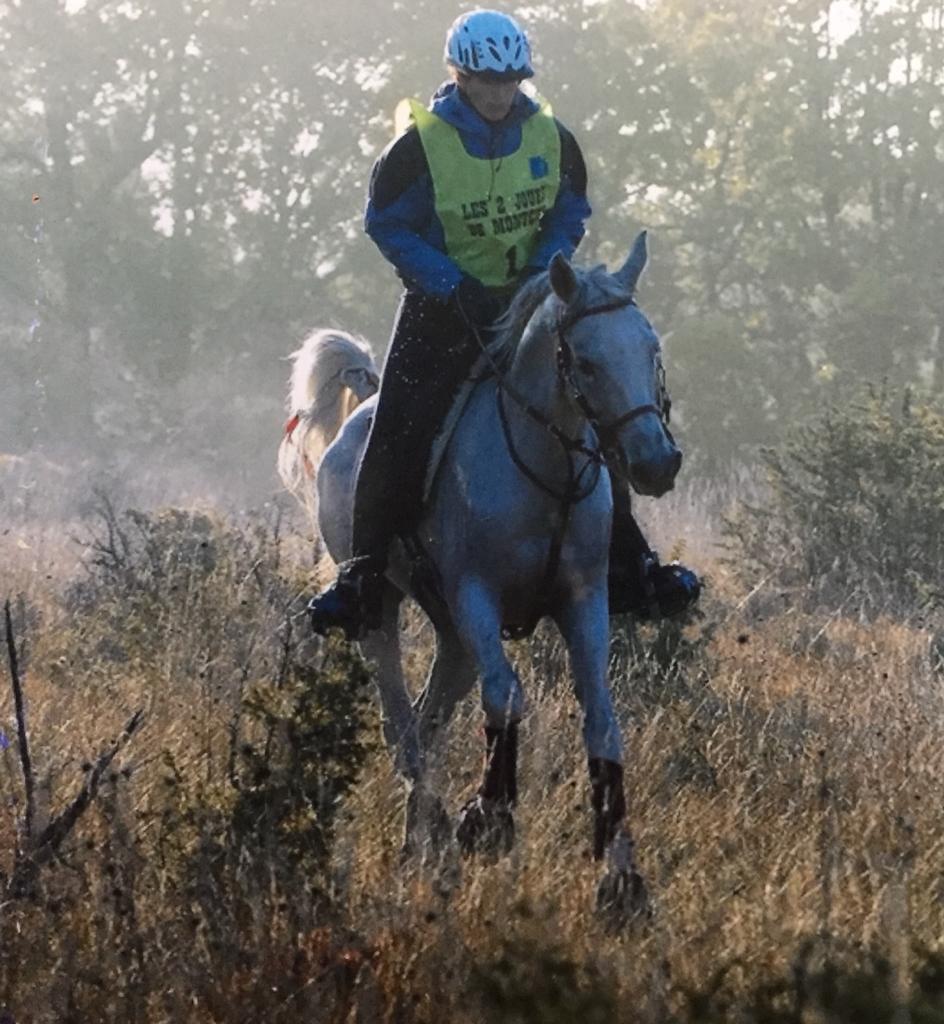 Coaching et préparation physique du cheval de sport animal acts